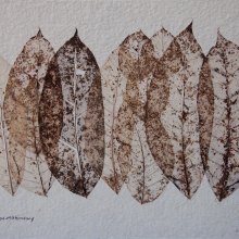 Isa Slivance, Oeuvre végétale - Papier d'Acajou Mahogany