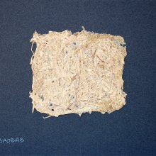 Isa Slivance, Oeuvre végétale - Papier de Baobab